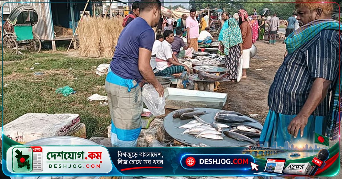 মা ইলিশ রক্ষায় জনগণের পাহারা: প্রশাসনের সীমাবদ্ধতা কাটিয়ে উঠতে কী করণীয়?