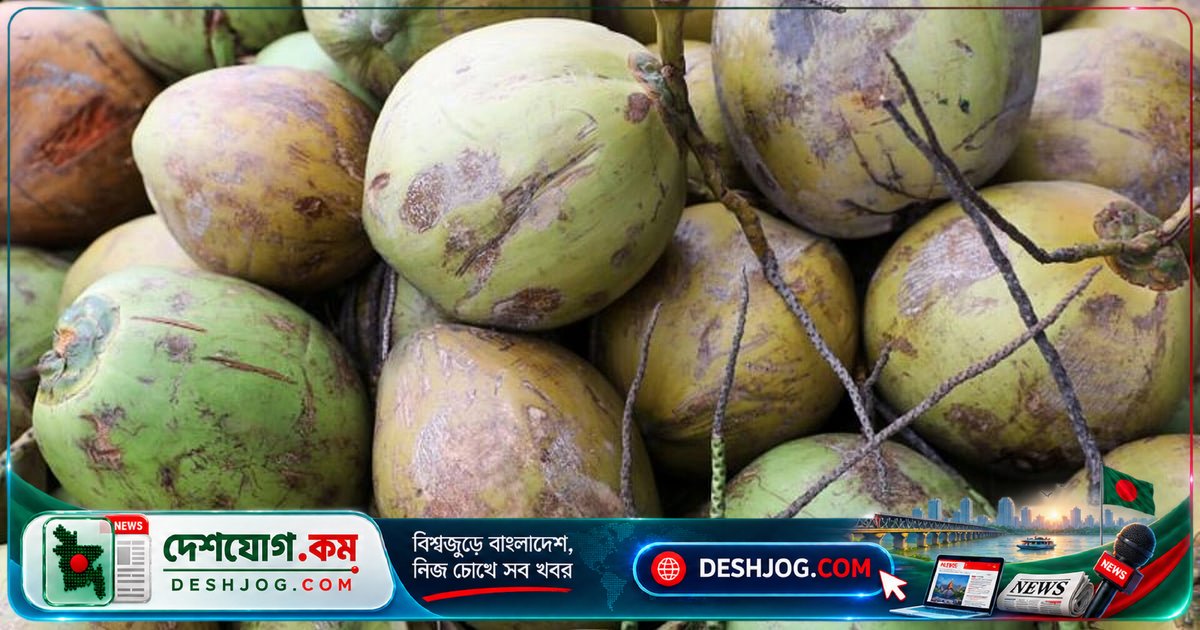 সমুদ্র ভ্রমণে নারকেলের অসাধারণ অভিযাত্রা: কীভাবে ৪৮০০ কিলোমিটার পাড়ি দেয়?