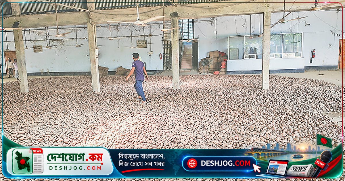 হিমাগারে আলু সংরক্ষণের ভাড়া কমলেও মালিকদের আর্থিক সংকটের আশঙ্কা