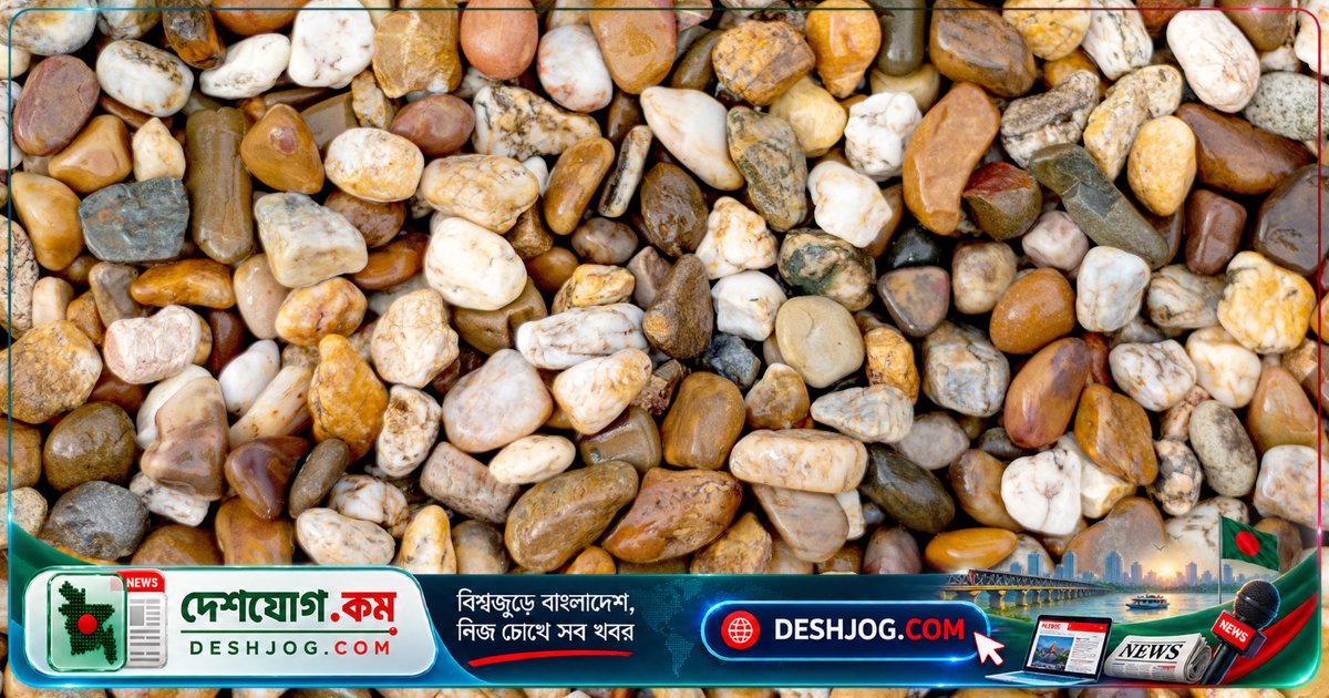 পাথর সংগ্রহের দিনে: কীভাবে পাথর মানুষের জীবনে ইতিহাস, শিল্প ও স্মৃতির ক্যানভাস হয়ে ওঠে