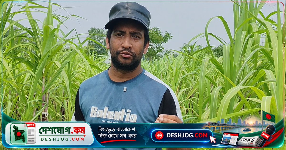 কনটেন্ট ক্রিয়েটর থেকে কৃষি উদ্যোক্তা: সাতক্ষীরার তরুণ রাহাত রাজা কৃষকদের আকর্ষণ করছেন আধুনিক কৃষি পদ্ধতিতে