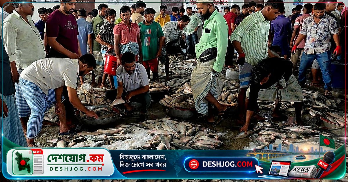 কক্সবাজার উপকূলে ধরা পড়ল বিপুল ইলিশ, নিষেধাজ্ঞা শুরু হলে জেলেরা কীভাবে চলবেন?