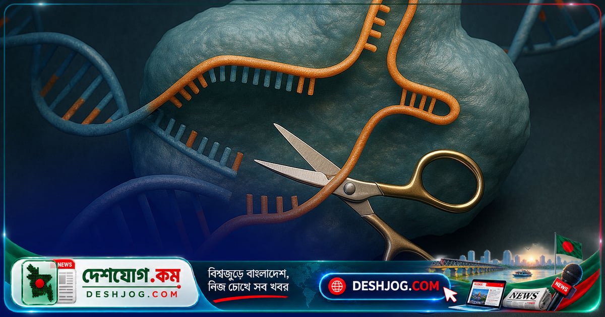 ক্রিসপার-ক্যাস৯ প্রযুক্তি: ধানের জিনোমে সার্জারি করে বদলে যাচ্ছে কৃষির ভবিষ্যৎ