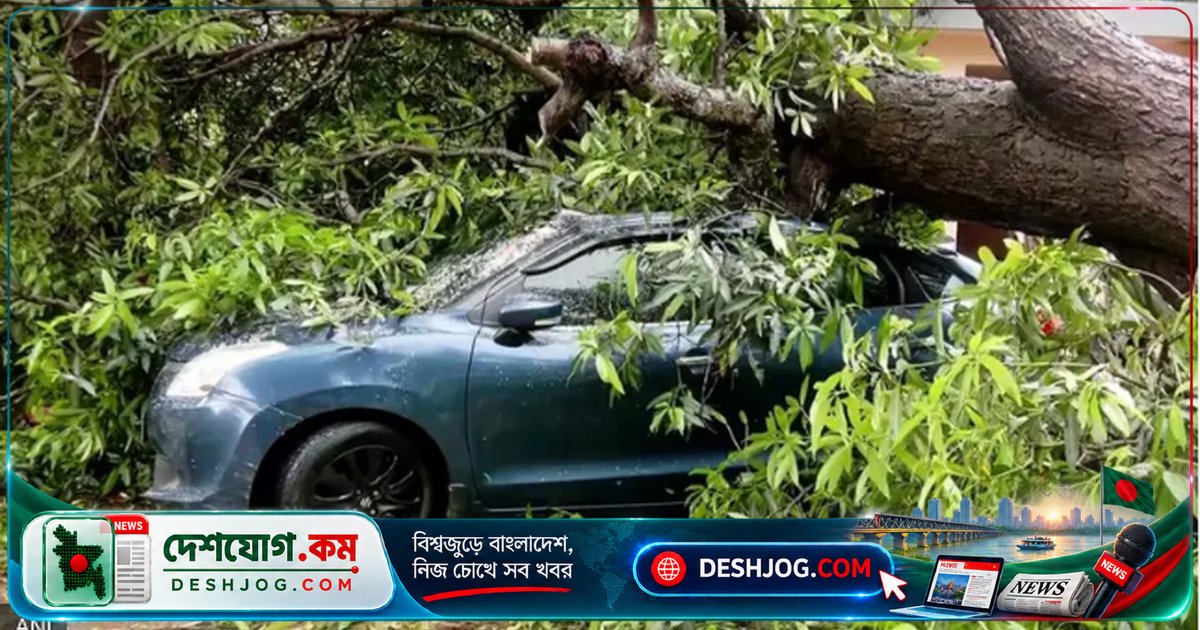 ঘূর্ণিঝড় অর্ণবের ধ্বংসাত্মক প্রভাব: অন্ধ্র ও ওড়িশায় ৫ মৃত্যু, পশ্চিমবঙ্গে বজ্রপাত ও জলজমা সতর্কতা