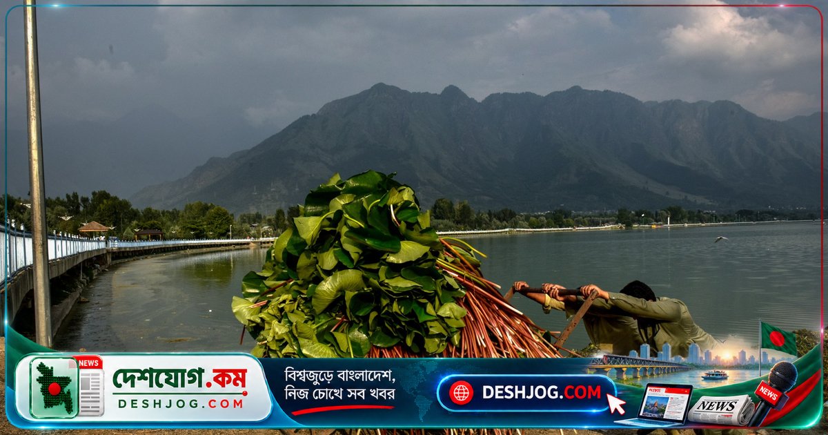 কাশ্মীরের ডাল লেক: পরিবেশগত বিপর্যয় ও জলবায়ু পরিবর্তনের শিকার হচ্ছে প্রাকৃতিক অজয়