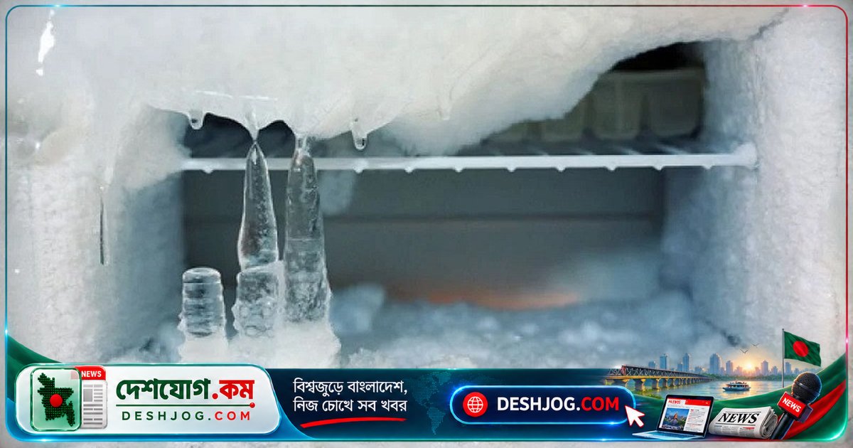 ডিপ ফ্রিজে বরফ জমলে খাবার সংরক্ষণে কী ধরনের বিপদ তৈরি হয়?