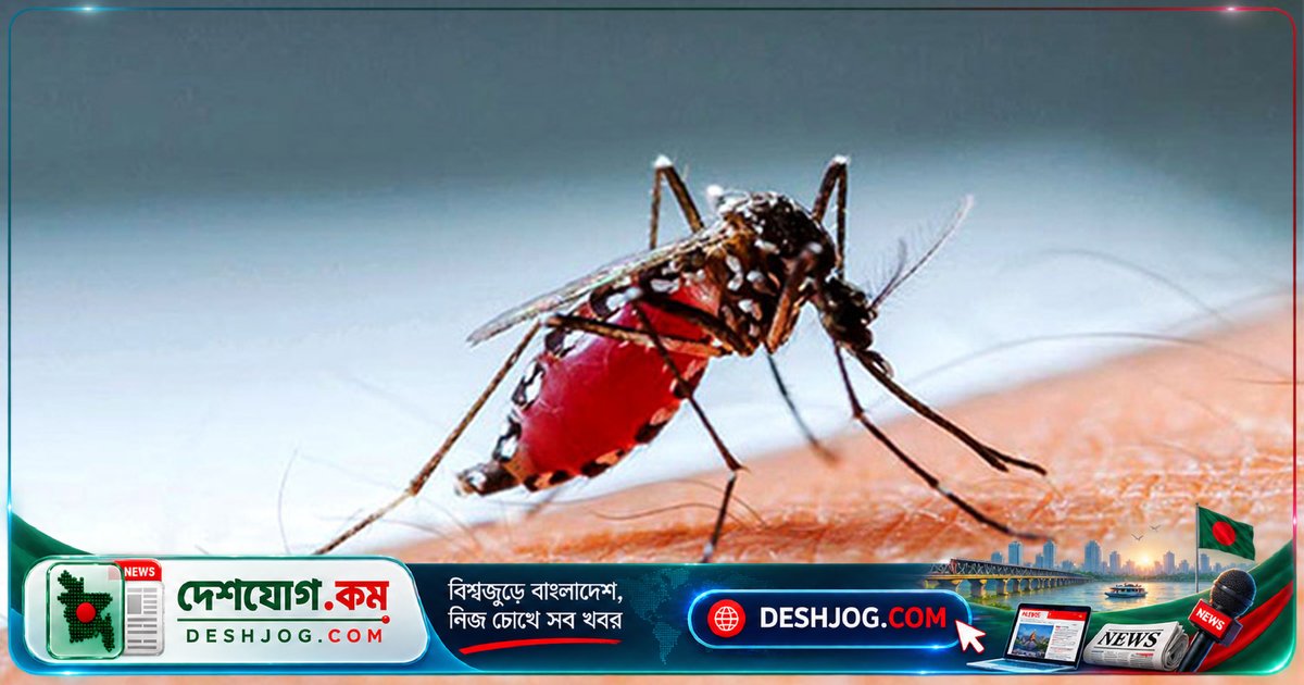ডেঙ্গু মহামারিতে ৭ জনের মৃত্যু, ২৪ ঘণ্টায় ১৫৯৩ রোগী হাসপাতালে ভর্তি