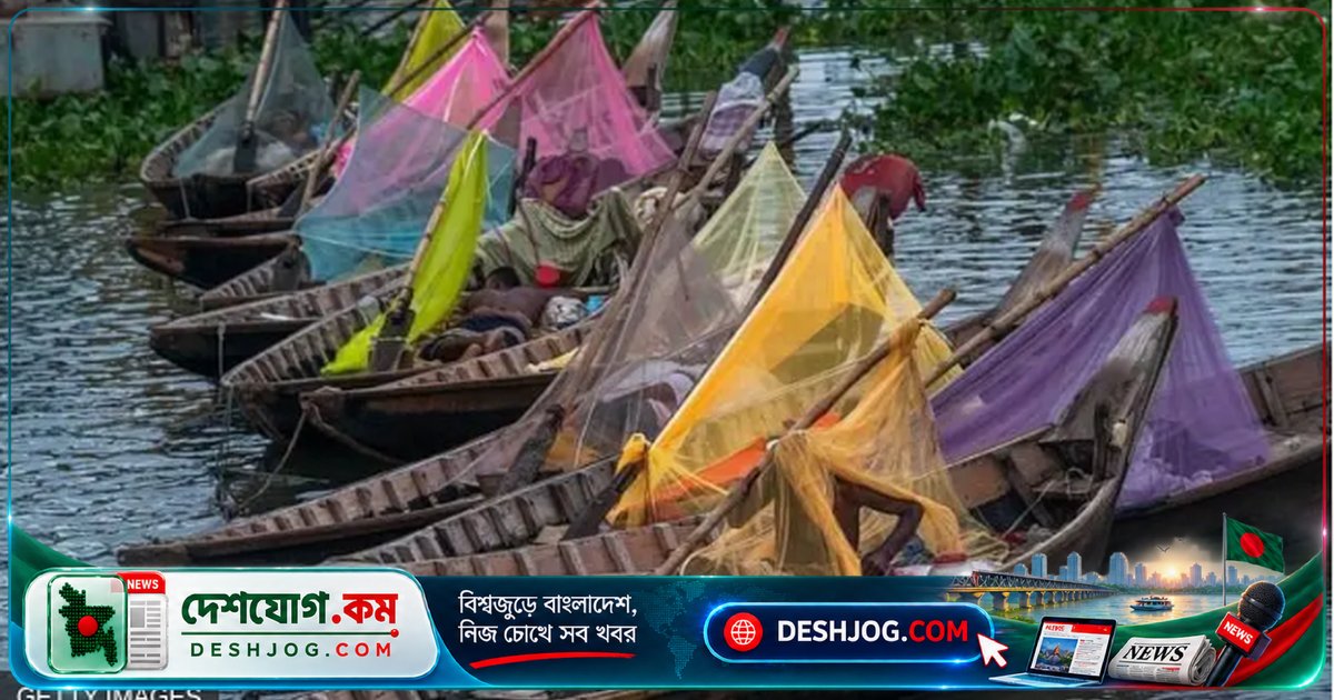 ডেঙ্গুতে বিপর্যয়ের মুখে বাংলাদেশ: হাসপাতালে সিট না পেয়ে মৃত্যুঝুঁকিতে রোগীরা
