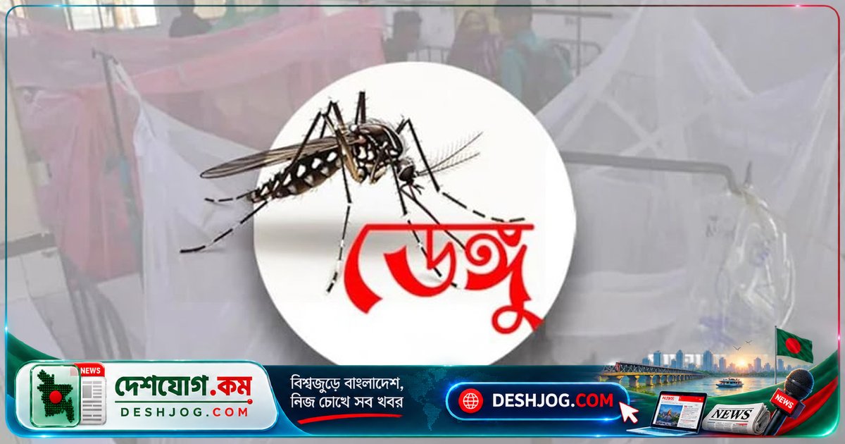 ২৪ ঘণ্টায় ডেঙ্গুতে ৮ মৃত্যু, ১৭৩৩ নতুন রোগী: স্বাস্থ্য অধিদফতরের আপডেট