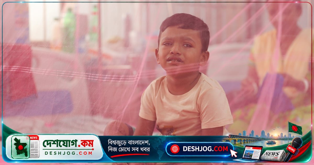 ৩০০-এর বেশি ডেঙ্গু মৃত্যু: বাংলাদেশে সুশাসন না থাকলে কীটনাশক কেনা কী ফল?