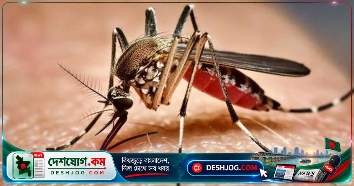 সেপ্টেম্বরে ডেঙ্গুতে ৬ জনের মৃত্যু, হাসপাতালে ভর্তি ১৫৯৩ রোগী; মোট মৃত্যু ১৮৪