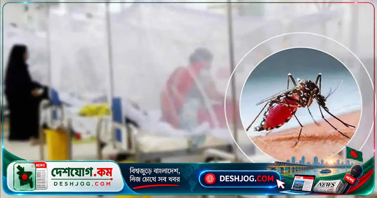 ডেঙ্গু মহামারীতে একদিনে ৯ জনের মৃত্যু: ঢাকায় সর্বোচ্চ তিনজন নিহত, আক্রান্তের সংখ্যা ১৯০২