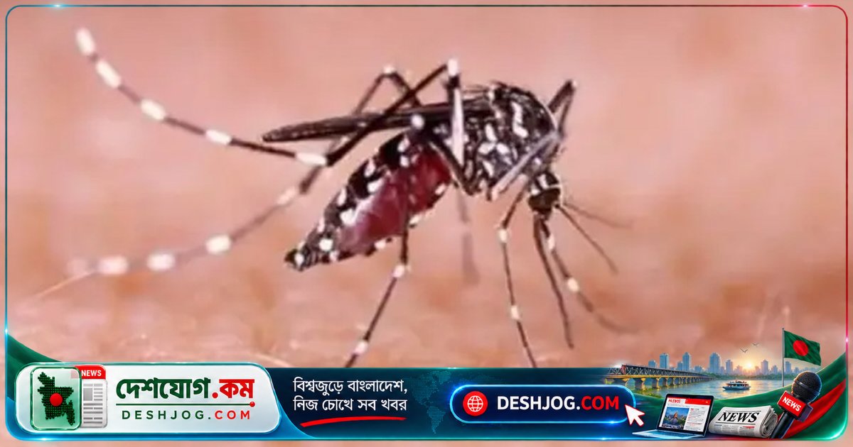 ডেঙ্গু মহামারিতে ২৪ ঘণ্টায় ৩ মৃত্যু, হাসপাতালে ভর্তি ১৪৩২ রোগী