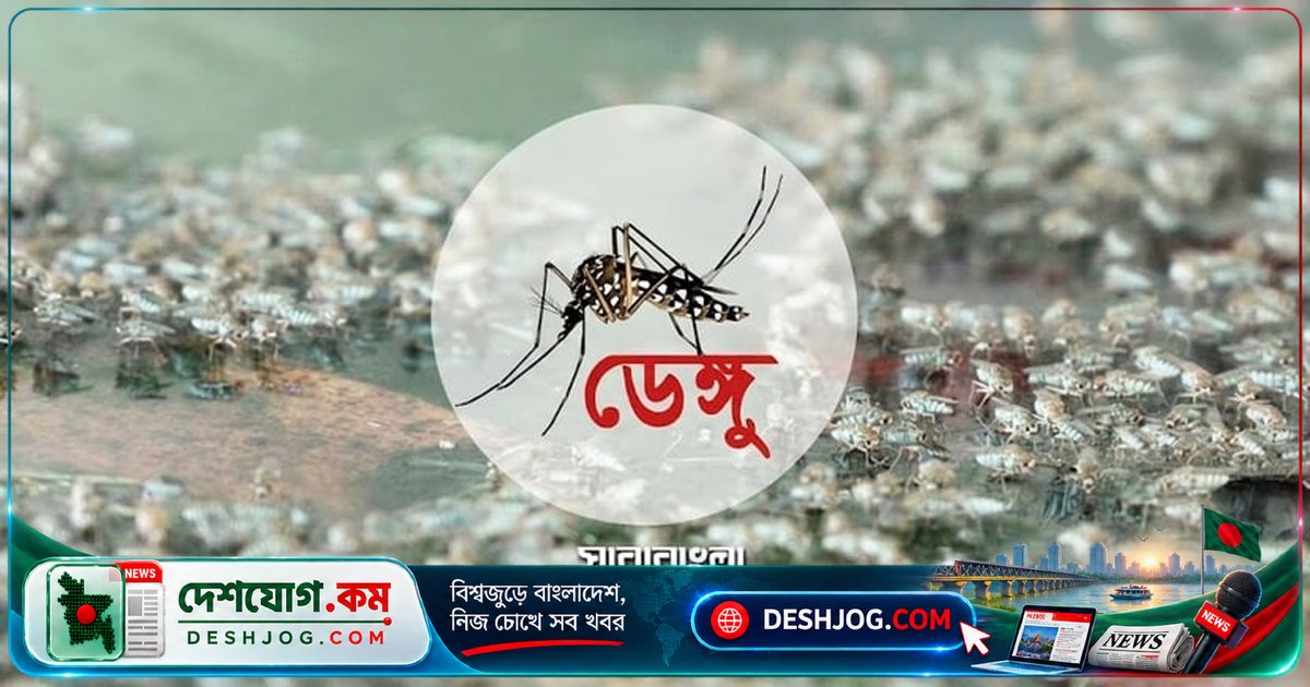 ডেঙ্গুতে চার মৃত্যু, নতুন করে এক হাজার ২৫২ জন আক্রান্ত