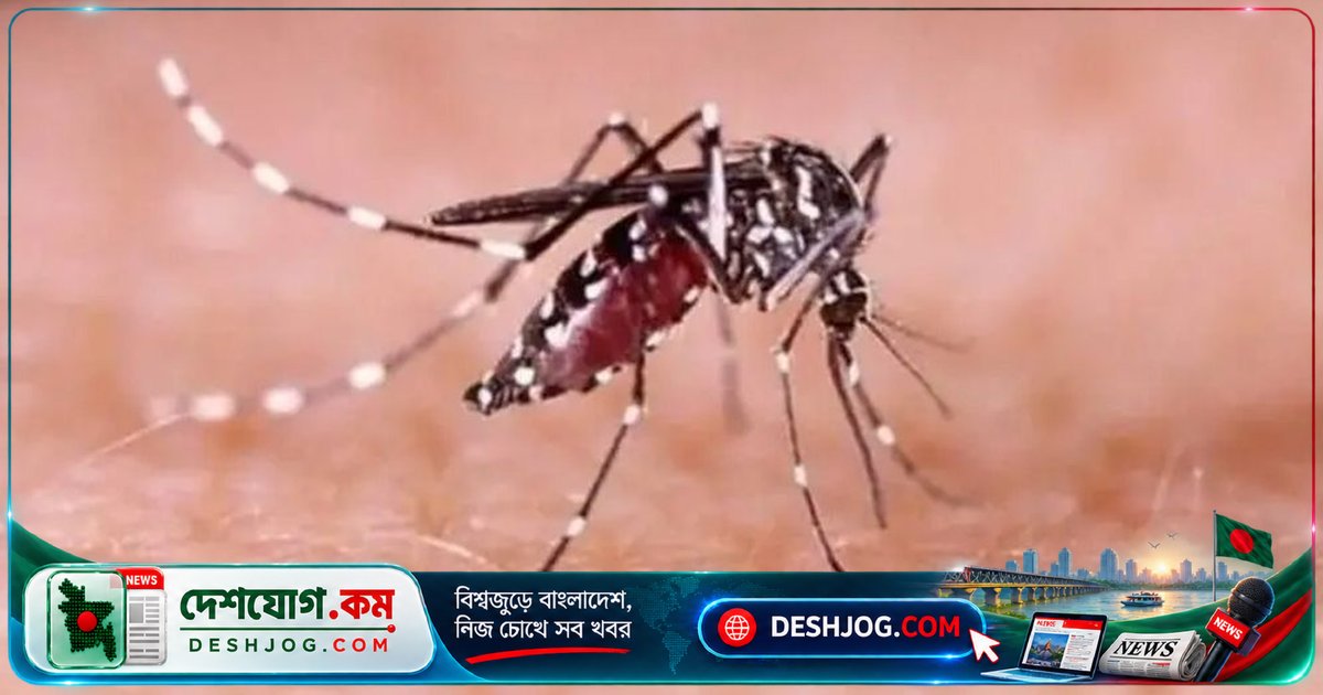 ডেঙ্গু মহামারী: একদিনে ১০ জনের মৃত্যু, আক্রান্তের সংখ্যা ছাড়ালো ৯০ হাজার