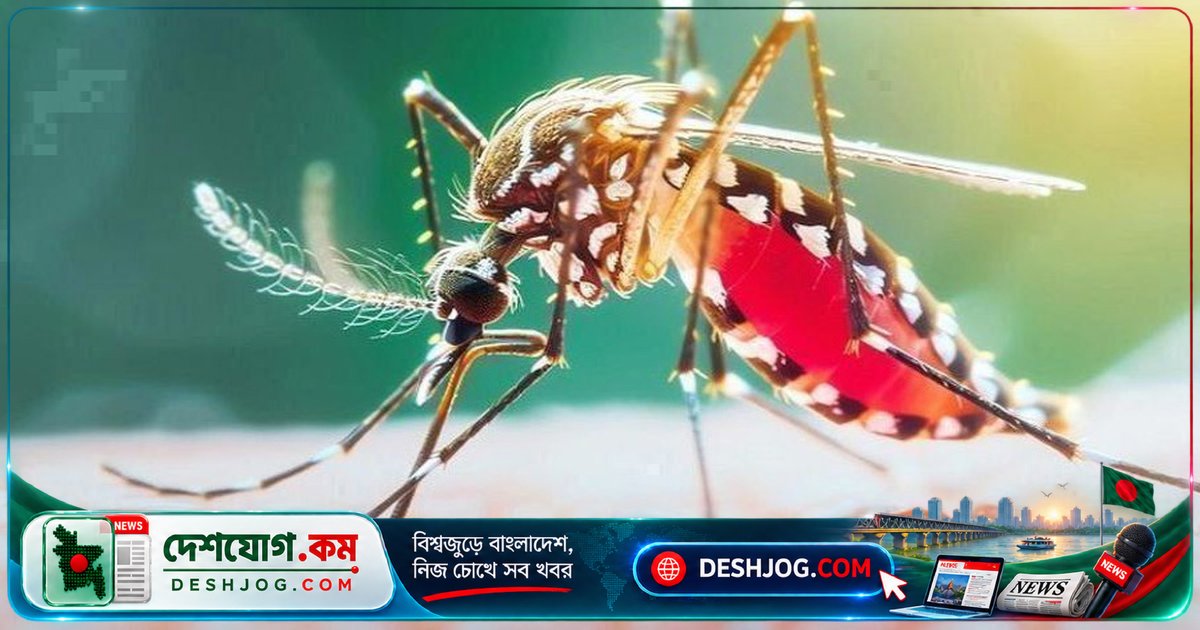 ডেঙ্গু মহামারী: ২৪ ঘণ্টায় ২ মৃত্যু, হাসপাতালে ভর্তি ৯৫৫ রোগী