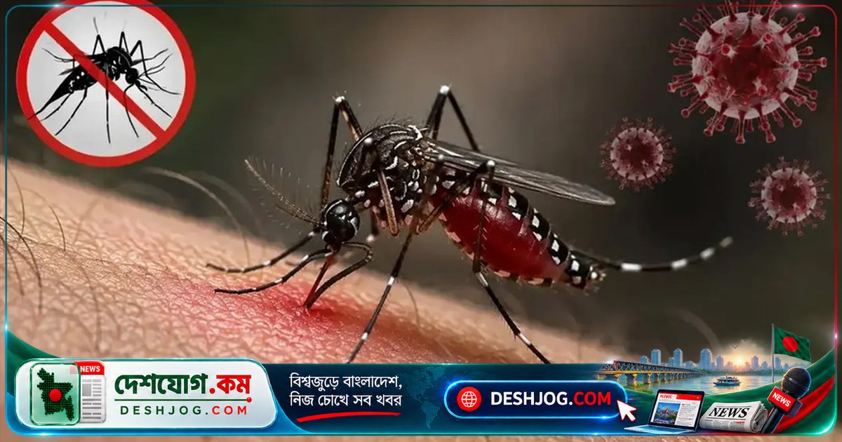ডেঙ্গু মহামারী: অক্টোবরের প্রথম সপ্তাহে ৪৯ জনের মৃত্যু, হাসপাতালে ভর্তি ১৯৩৫ জন