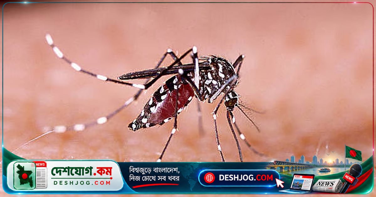 বাংলাদেশের জন্য সম্ভাবনাময় ডেঙ্গু প্রতিরোধে নতুন অ্যান্টিভাইরাল ওষুধের গবেষণা: মোসনোডেনভির কীভাবে কাজ করবে?