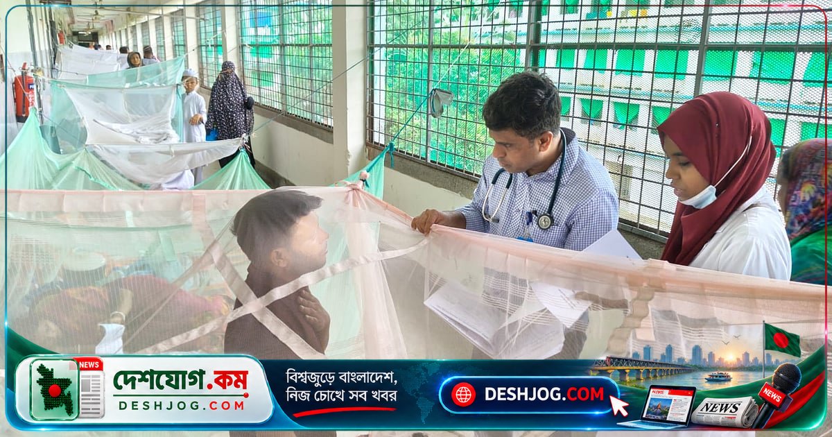 ডেঙ্গুতে প্লাজমা লিকেজের ঝুঁকি: জ্বর কমলেও শক আসতে পারে, কীভাবে বাঁচবেন?