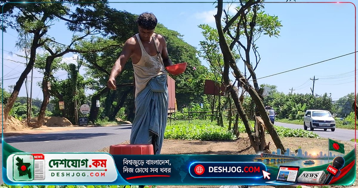 ঢাকা-চট্টগ্রাম মহাসড়কের সৌন্দর্য ধ্বংস: সড়কদ্বীপে গাছ কেটে বাণিজ্যিক সবজি চাষ
