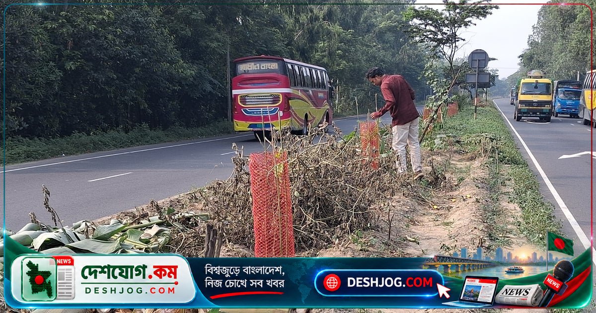 ঢাকা-চট্টগ্রাম মহাসড়কের মিরসরাইতে অবৈধ সবজিখেত উচ্ছেদ, ৭০ জাতের ফুলের গাছ রোপণ