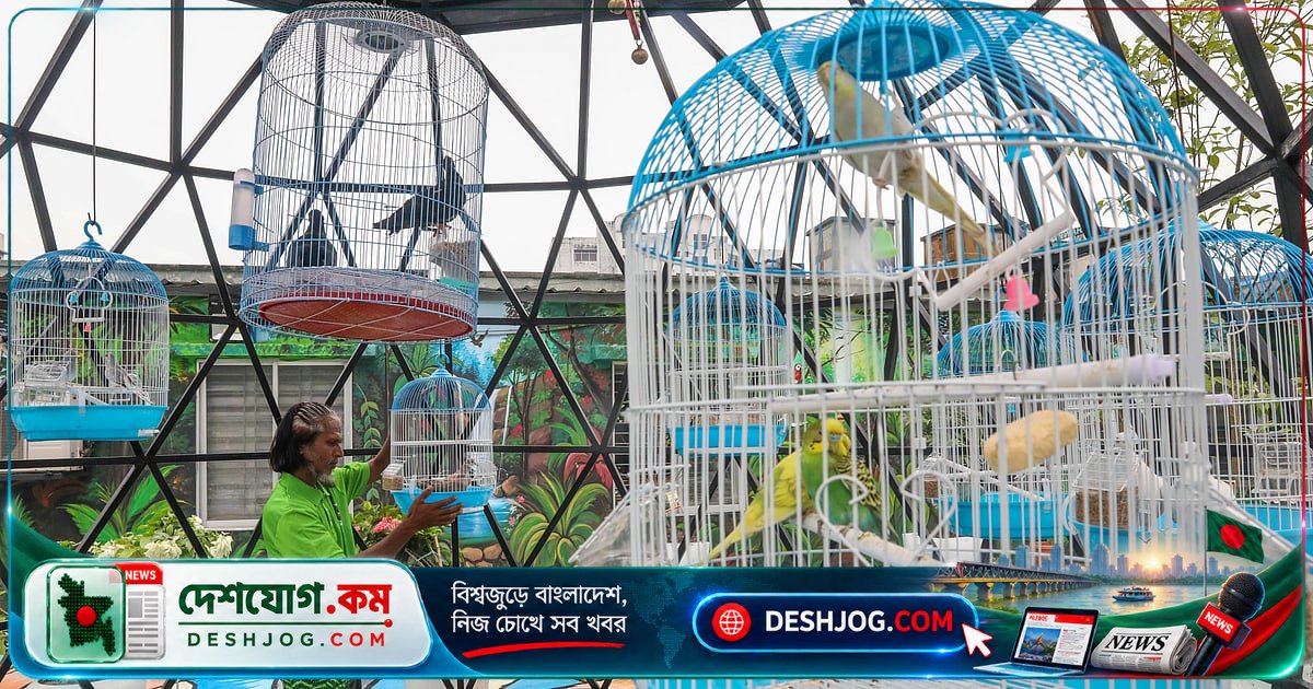 ঢাকার জেলা প্রশাসনের ছাদে ৫৮ প্রজাতির গাছে ভরা ‘আকাশ নীড়’: পাখি ও প্রাণীদের নতুন আশ্রয়স্থল