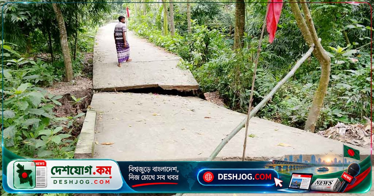 ধুনটের গ্রামীণ সড়ক ভেঙে যানবাহন চলাচল বন্ধ, শিক্ষার্থী ও কৃষকদের দুর্ভোগ বাড়ছে