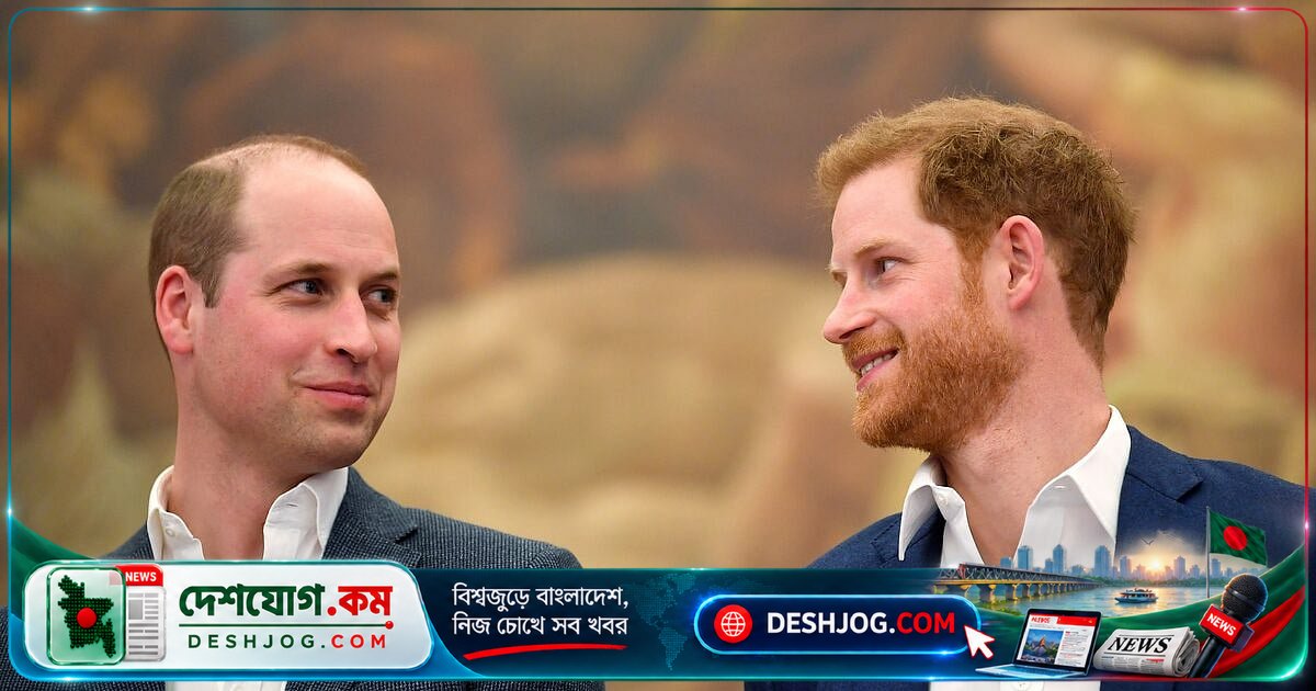 ডায়ানার মৃত্যুর ২৯ বছর পর: উইলিয়াম ও হ্যারির মধ্যে কেন এত দূরত্ব তৈরি হয়েছে?