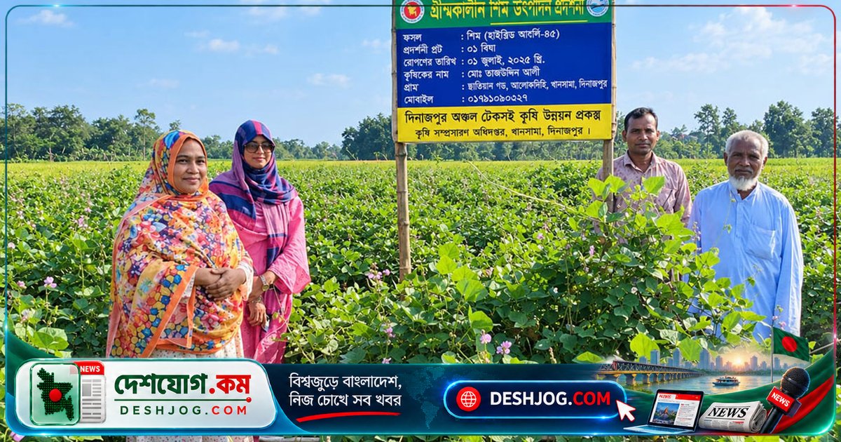 দিনাজপুরের খানসামা: গ্রীষ্মকালীন হাইব্রিড শিম চাষে কৃষক ময়েজ উদ্দিনের ৬৫-৭০ হাজার টাকার সম্ভাবনা