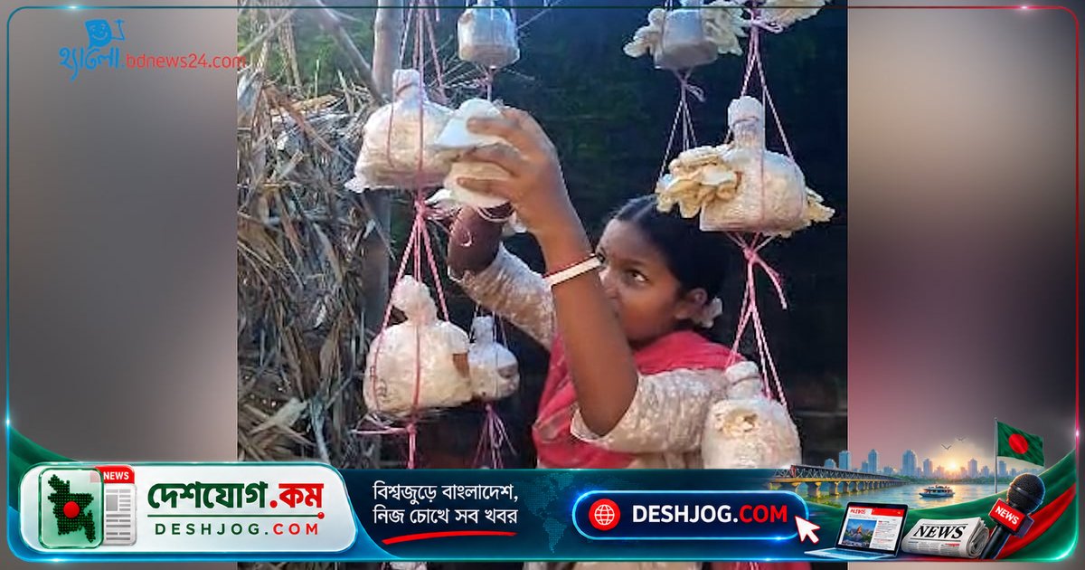 দিনাজপুরের একবারপুরে মাশরুম চাষে সাঁওতাল নারীদের আয়ের নতুন পথ