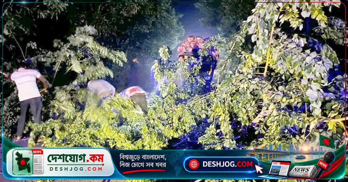 দিনাজপুরে রাতের অন্ধকারে গাছ ফেলে ডাকাতির তাণ্ডব: চারটি গাড়ি লুটপাটে ভুগে