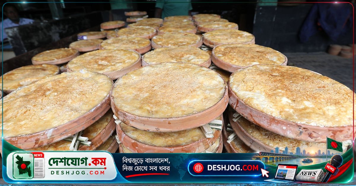 মিষ্টি দইয়ের চিনি প্রোবায়োটিক ব্যাকটেরিয়াকে কি নষ্ট করে? বিজ্ঞানীরা বলেছেন এ বিষয়ে সত্যি কি?