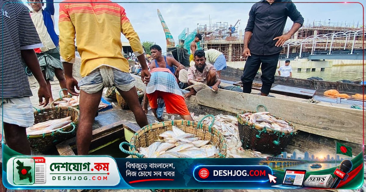 কক্সবাজারের মাছ ধরার ট্রলার এফভি কুলসুমায় জালে ২৬ লাখ টাকার ইলিশ ধরা, জেলেরা পাবেন ৫০ হাজার করে
