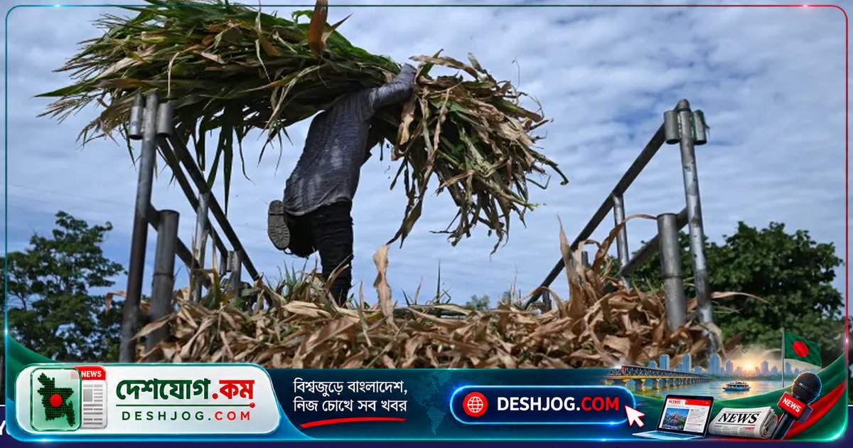জলবায়ু পরিবর্তনের প্রভাবে ভয়াবহ রূপ ধারণ করছে এল নিনো, বিপর্যয়ের মুখে বিশ্ব
