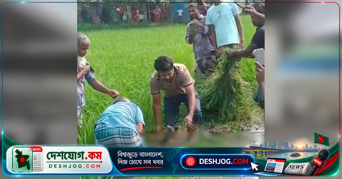 বৈদ্যুতিক ফাঁদে জড়িয়ে মৃত্যুবরণ: নোয়াখালীর কৃষক খাজা মাইনউদ্দিনের লাশ উদ্ধার