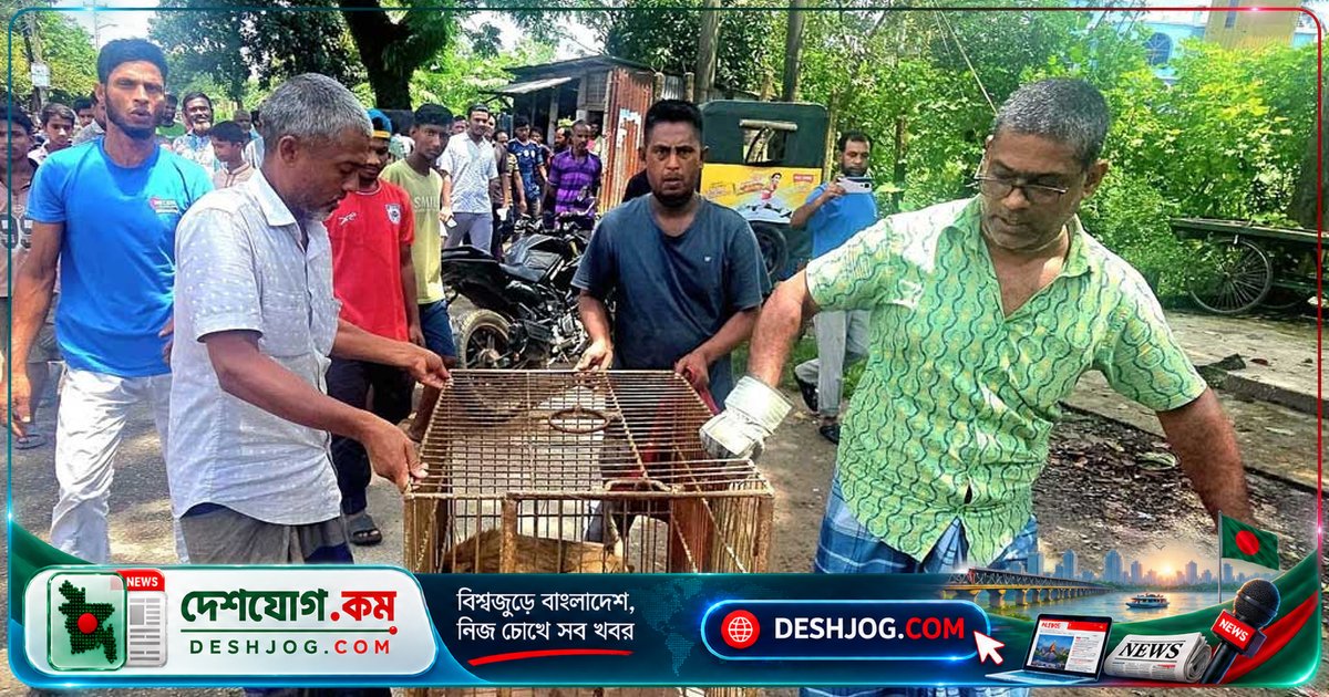 শ্রীমঙ্গলে বিদ্যুতায়িত বিরল উল্টোলেজি বানরের উদ্ধার, শ্রেণিকক্ষ সংকটে উদ্বেগ নরসিংদীতে