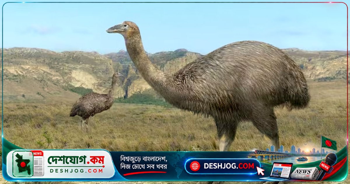 ৭ থেকে ৯ হাজার কিলোমিটার সমুদ্রযাত্রা করে অস্ট্রেলিয়ায় পৌঁছেছিল এলিফ্যান্ট বার্ডের দুটি অক্ষত ডিম