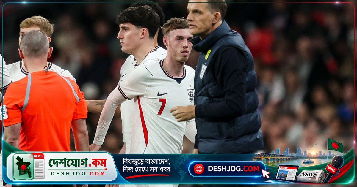 ওয়ার্ল্ড কাপ থেকে বাদ পড়ার পর ইংল্যান্ডের প্যালমার ও আলেক্সান্ডার-আর্নল্ডকে ফিরিয়ে আনা হয়েছে নেশনস লীগ স্কোয়াডে
