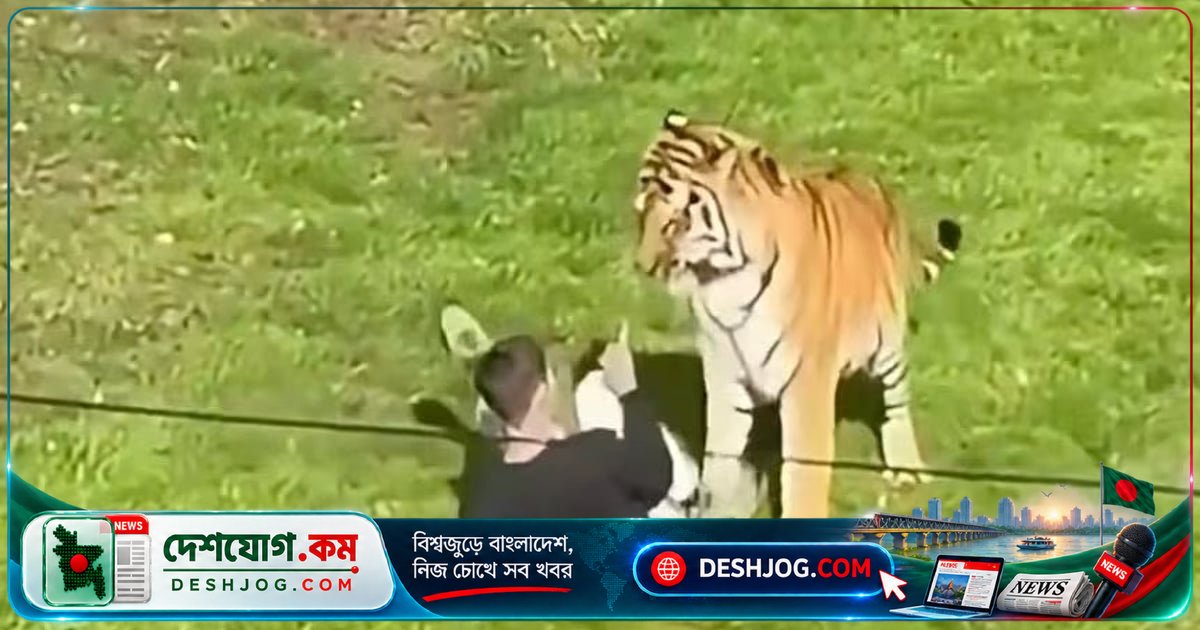 ইংল্যান্ডের বন্য প্রাণী পার্কে বাঘের খাঁচায় ঢুকে মৃত্যুবরণ করেন এক ব্যক্তি, পার্ক বন্ধ রাখা হয় সপ্তাহ শেষের বাকি সময়
