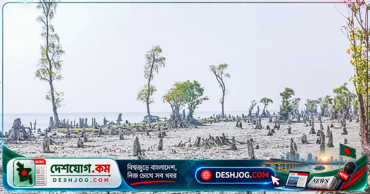 তিস্তা থেকে শুরু করে বিশ্বব্যাপী: পরিবেশ সাংবাদিক মোছাব্বের হোসেনের আন্তর্জাতিক চাকরির গল্প
