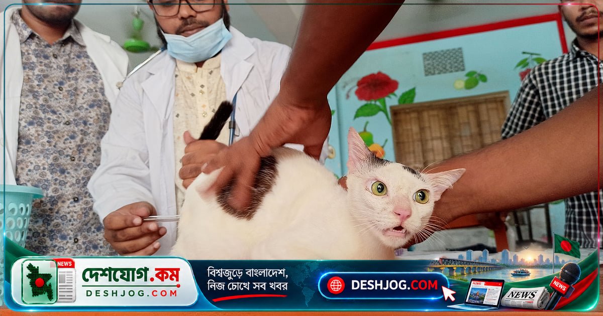 পোষা প্রাণী নিয়ে প্রাণিচিকিৎসক কেন্দ্রে যাওয়ার আগে জানতে হবে এই ১৫টি গুরুত্বপূর্ণ বিষয়