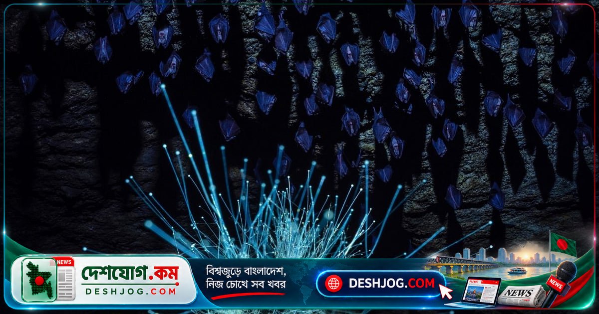 ২০২৬ সালের ইউরোপিয়ান ওয়াইল্ডলাইফ ফটোগ্রাফি প্রতিযোগিতার সেরা ছবির গল্প: প্রকৃতির রহস্যময় মুহূর্ত থেকে মানুষের হস্তক্ষেপের প্রভাব