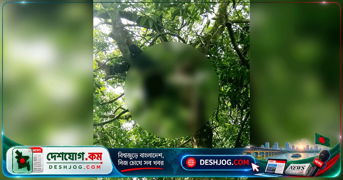 সেনা অবসরপ্রাপ্তের লাশ উদ্ধার: ব্যাংক থেকে টাকা তুলতে বেরিয়ে নিখোঁজ, গাছের ডালে পাওয়া মৃতদেহ