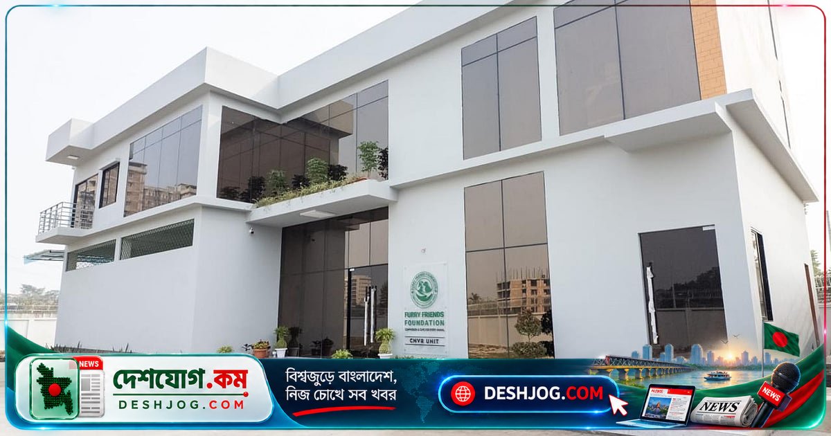 ফারি ফ্রেন্ডস ফাউন্ডেশন: পথের অবহেলিত প্রাণীদের জীবন রক্ষায় উদ্যোগ ও চ্যালেঞ্জ