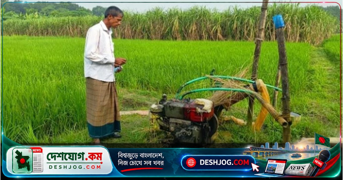 ফরিদপুরের আলফাডাঙ্গা: রাতের আঁধারে দুর্বৃত্তরা পুড়িয়ে দিলো কৃষকের ৪ একর জমির সেচযন্ত্র, ক্ষতি অর্ধ লাখ টাকা