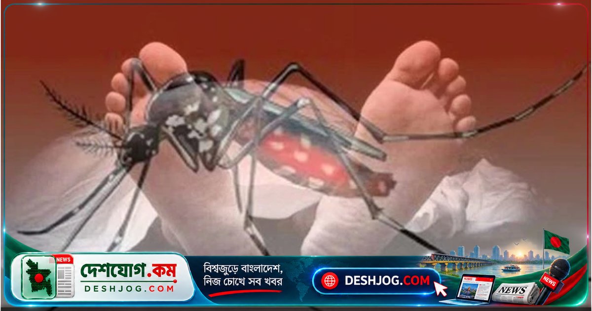 ফরিদপুরে ডেঙ্গুতে নারী মৃত্যু ও ২৫ জনের হাসপাতালে ভর্তি: জেলায় মৃত্যুর সংখ্যা পাঁচে দাঁড়ায়