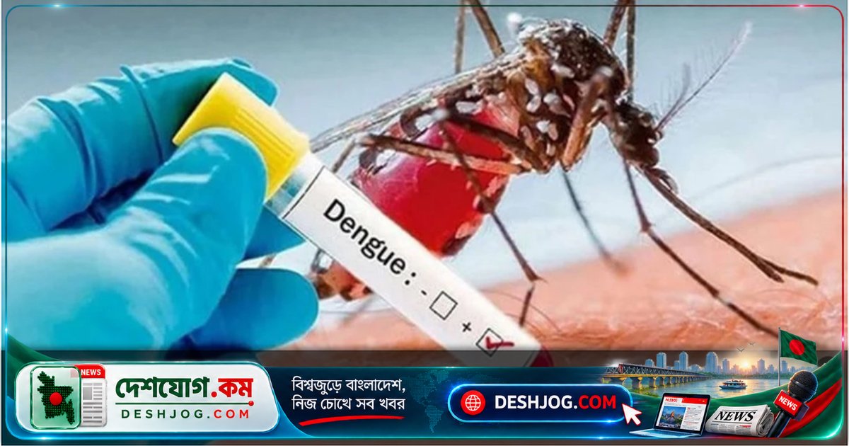 ফরিদপুরে ডেঙ্গু আক্রমণে ২৪ ঘণ্টায় ৫৮ জন রোগী হাসপাতালে ভর্তি, ৯ জনের মৃত্যু পর্যন্ত