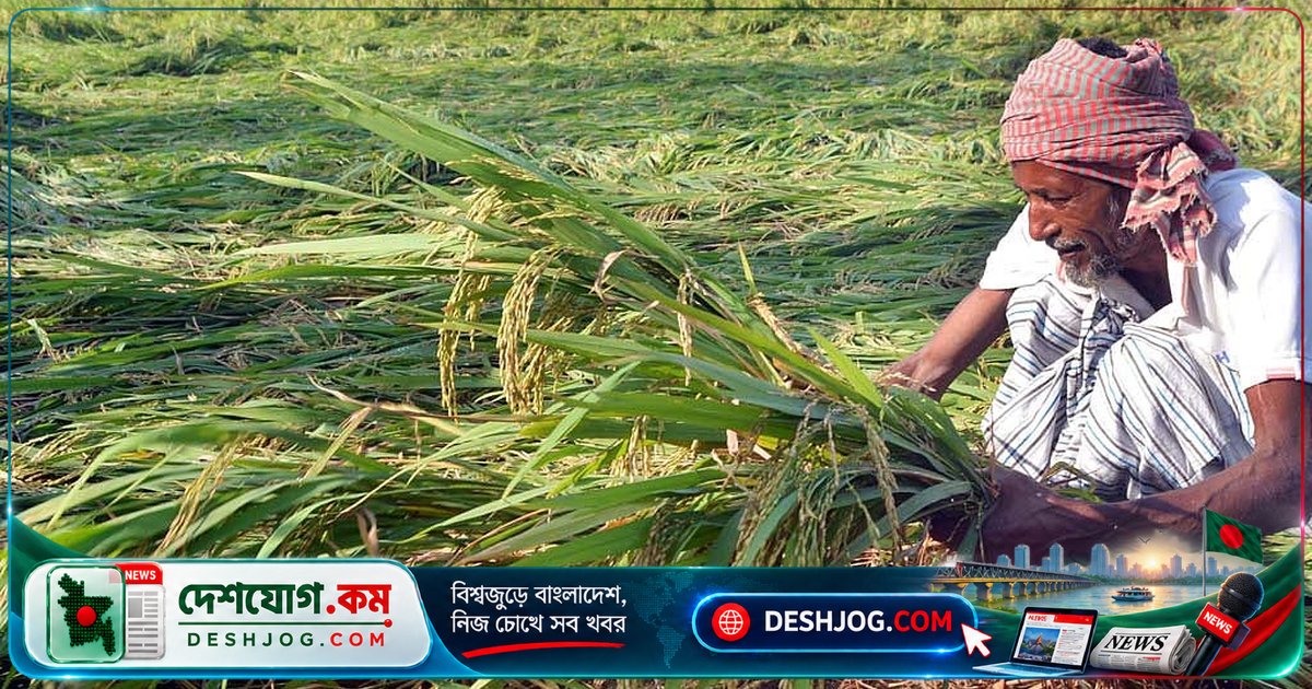 কৃষকদের অপরিসীম শ্রমে তৈরি হয় আমাদের প্রতিদিনের খাদ্য