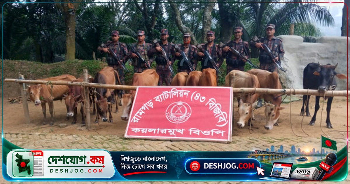 ফটিকছড়ি সীমান্তে ভারতীয় চোরাকারবারিরা পালিয়ে যায়, বিজিবি আটকে ১০টি গরু