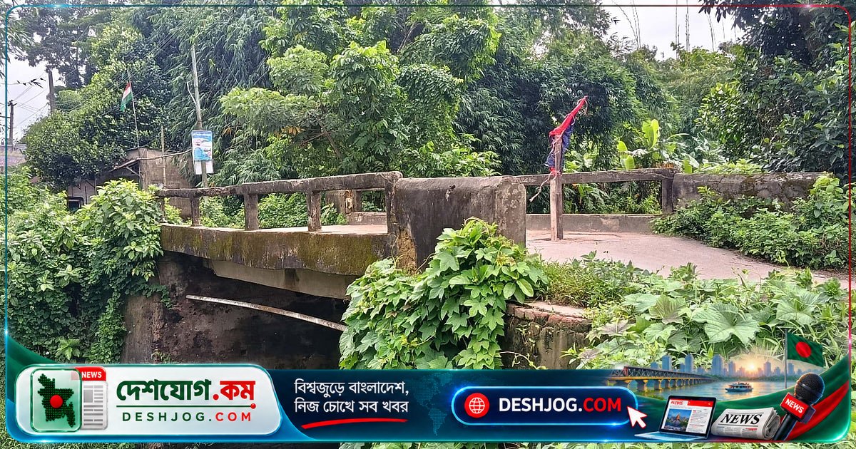 ফেনীর বিরিঞ্চি সেতুতে দুর্ঘটনার আশঙ্কা: জরাজীর্ণ সেতুতে গর্ত ও ফাটলের কারণে চলাচল বিপদগ্রস্ত